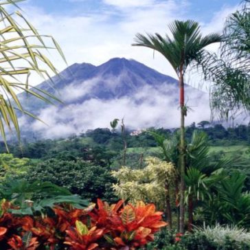 Country of butterflies, hummingbirds, coffee and happy people: 10 interesting facts about Costa Rica